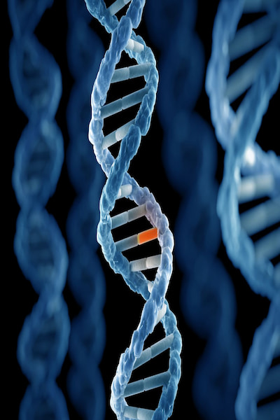 دوره استخراج DNA چیست
