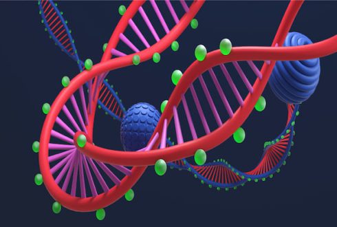 مراحل انجام تست DNA چیست؟