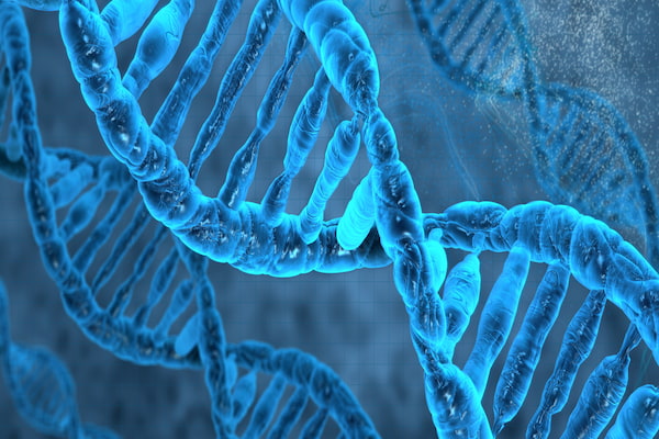 آزمایش DNA چگونه انجام می شود؟